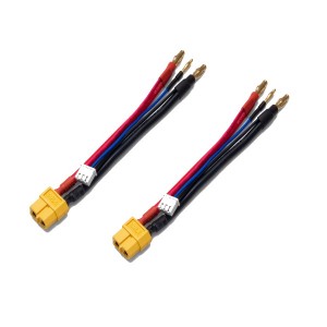 Câble de charge 2S LiPo/LiFe Hard Case XT60(2)