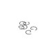 Piston G-clips(6) OSSPEED R2101 21817010